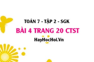 Bài 4 trang 20 Toán 7 Tập 2 Chân trời sáng tạo